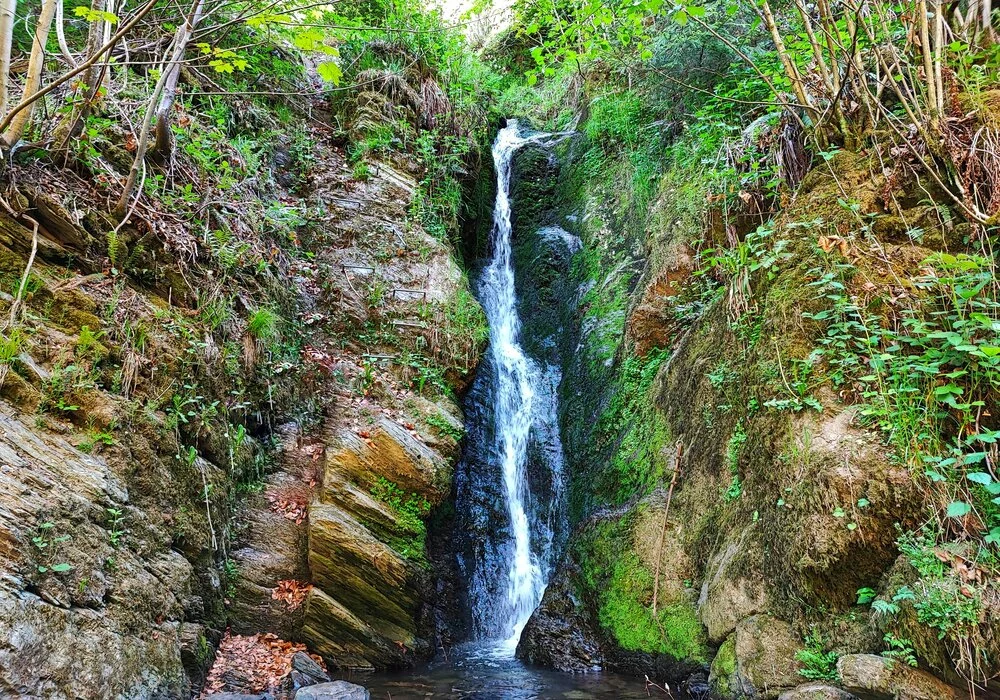Wandern in Belgien 5 Hohes Venn Teil 4 5