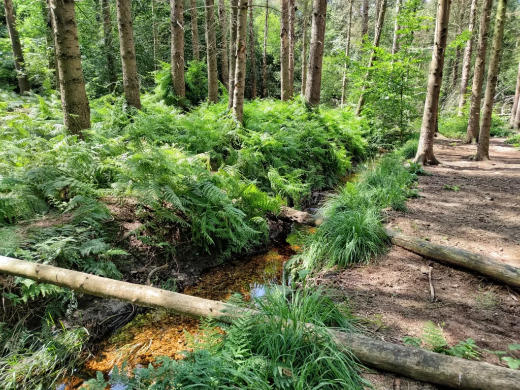 Routes 2 wambachtal Titelbild