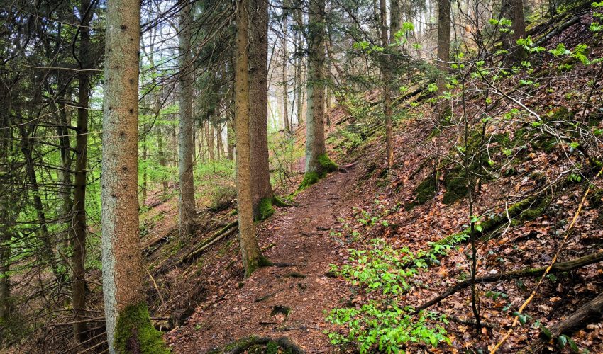 Abenteuertour Wermelskirchen Nordrhein-Westfalen