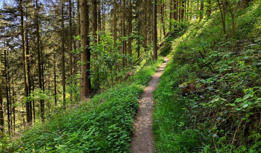 Abenteuertour Mayen Rheinland Pfalz