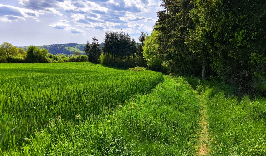 Abenteuertour Mayen Rheinland Pfalz