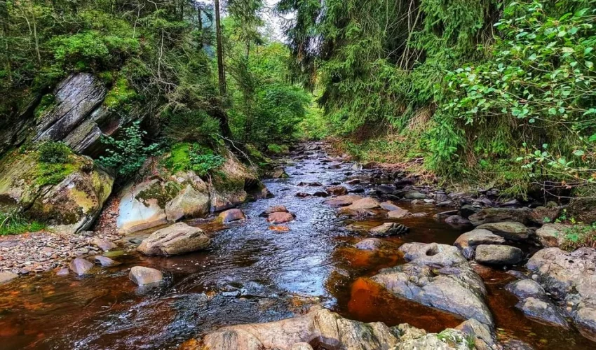 Monschau Teil 1 (4)